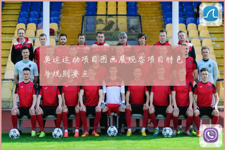 奥运运动项目图画展现各项目特色与规则要点